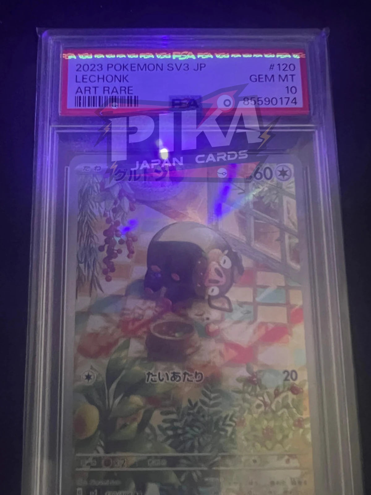 Pokémon card PSA 10 Lechonk 120/108 Ruler of the Black Flame JAP