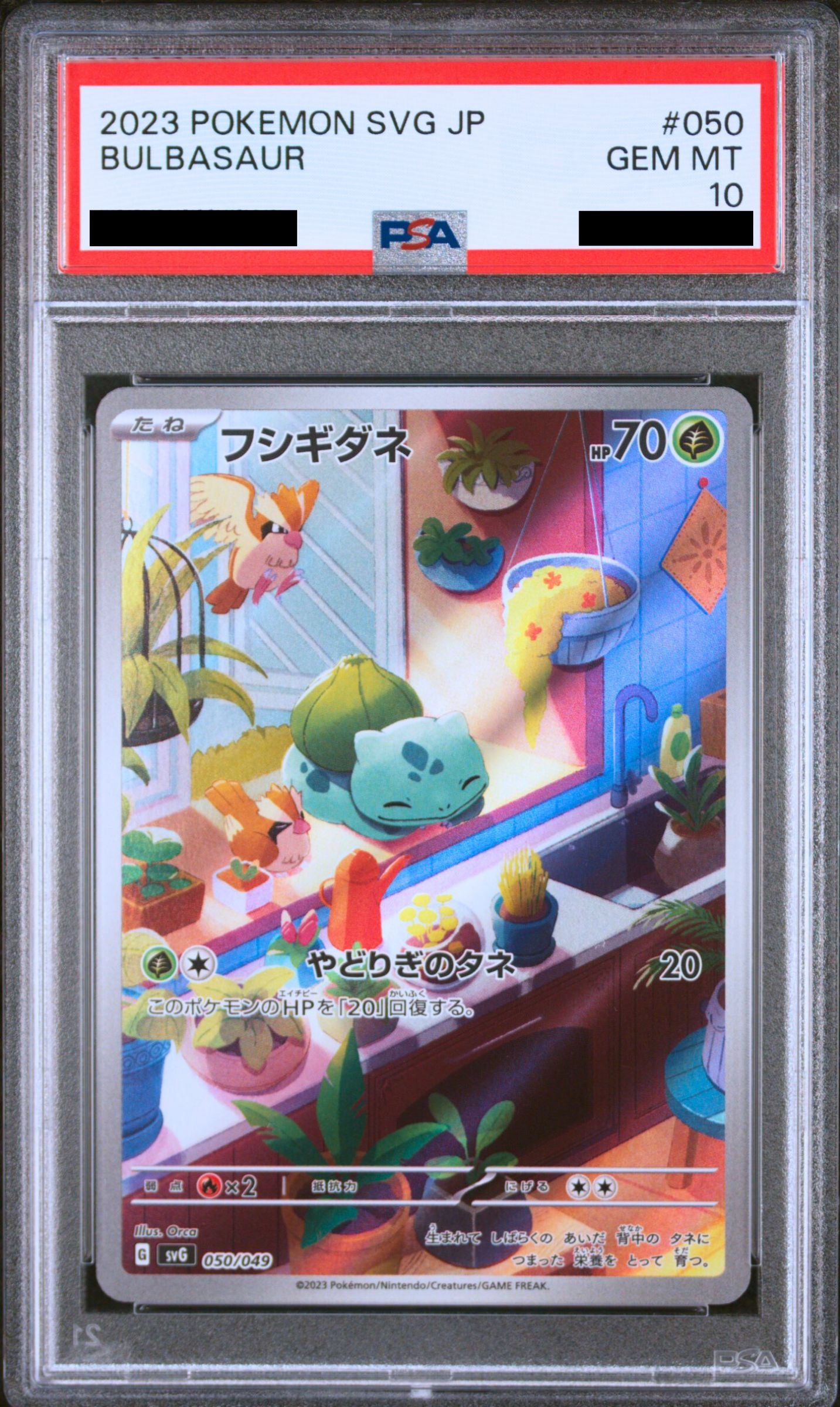Pokmon card PSA 10 Bulbasaur SVG 50 Set Venusaur & Charizard & Blastoise Special Deck JAP Pika Japan Cards Pokmon card PSA 10 Bulbasaur SVG 50 Set Venusaur & Charizard & Blastoise Special Deck JAP Pika Japan Cards