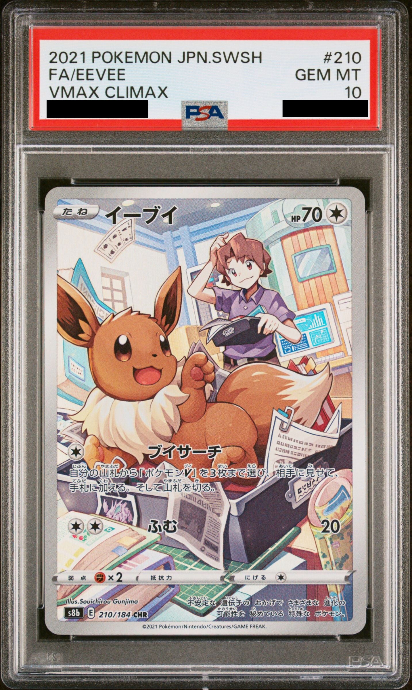 Pokémon card PSA 10 Eevee 210/184 VMAX Climax JAP – Pika