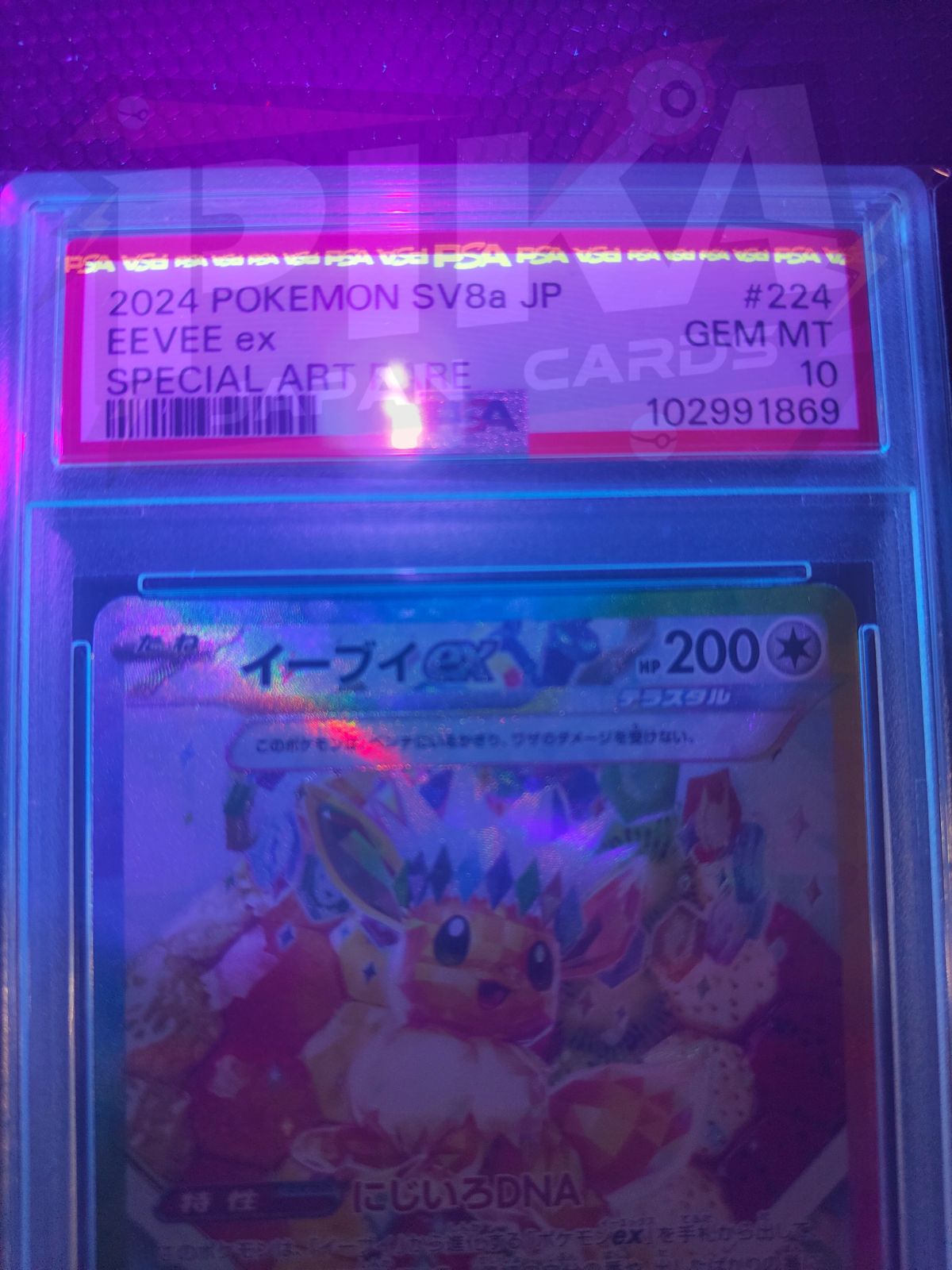 Pokémon card PSA 10 Eevee ex SAR 224/187 Terastal Festival ex sv8a