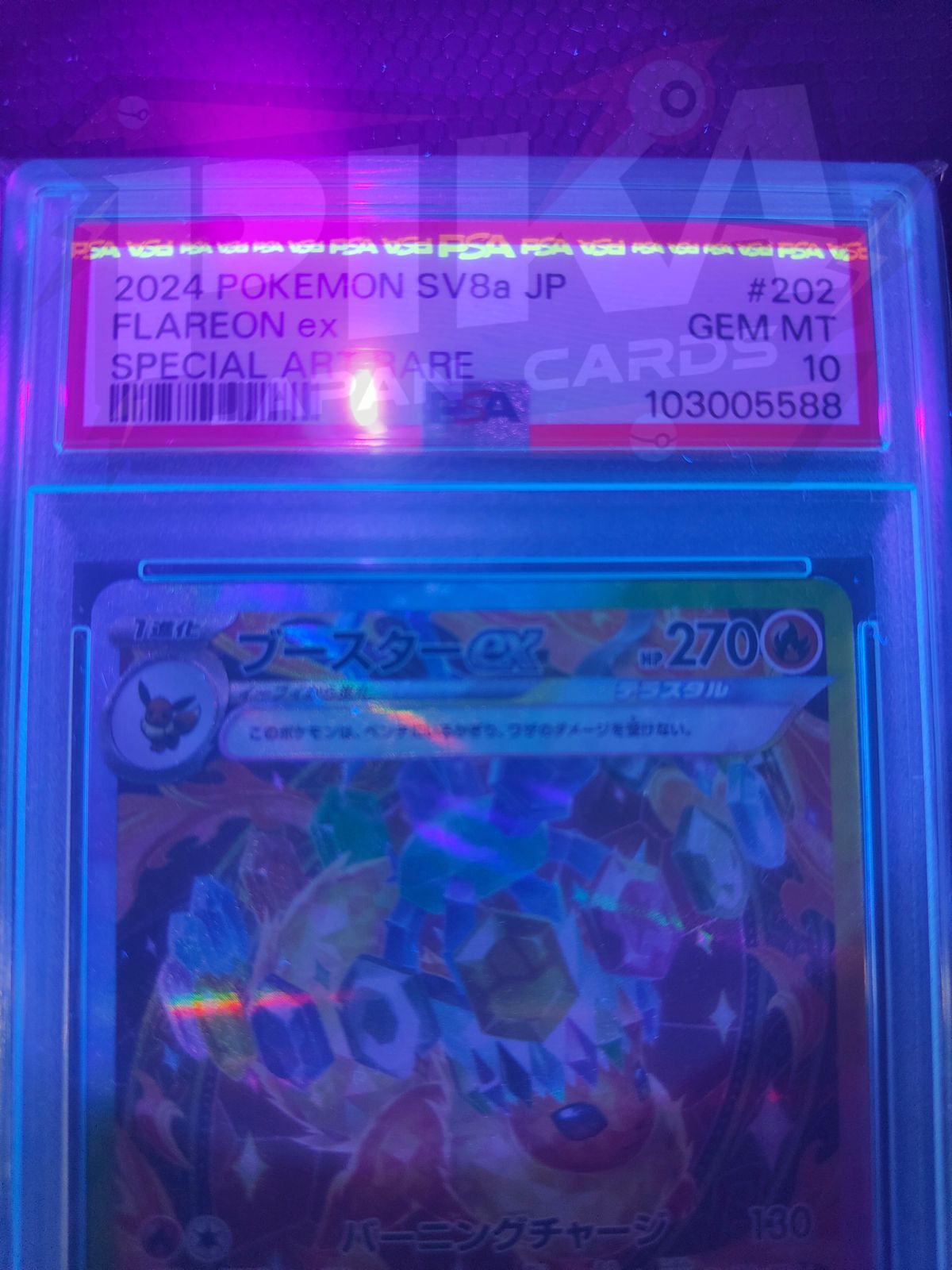 Pokémon card PSA 10 Flareon ex SAR 202/187 Terastal Festival ex sv8a