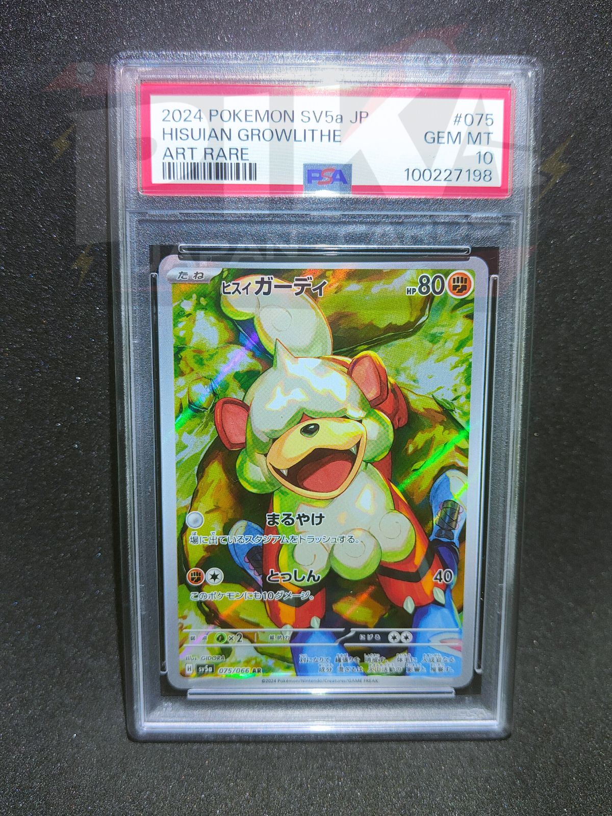 HISUIAN GROWLITHE AR 075/066 | MINT | Crimson Haze SV5a | Full Art Pokémon Card | UK - Foto 8