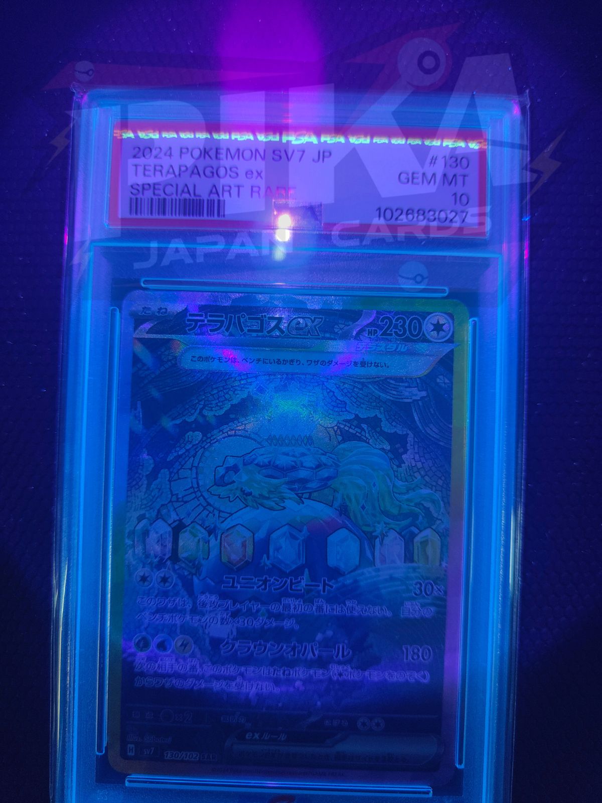 Pokémon card PSA 10 Terapagos ex 130/102 sv7 Stellar Miracle JAP