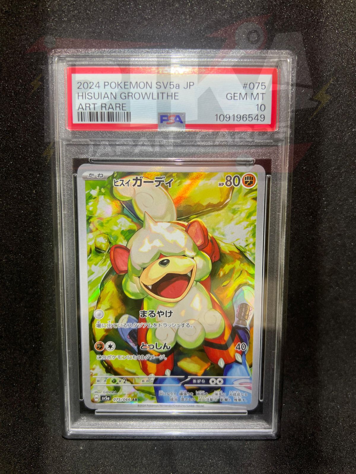Pokémon card PSA 10 Hisuian Growlithe 75/66 Crimson Haze sv5a JAP