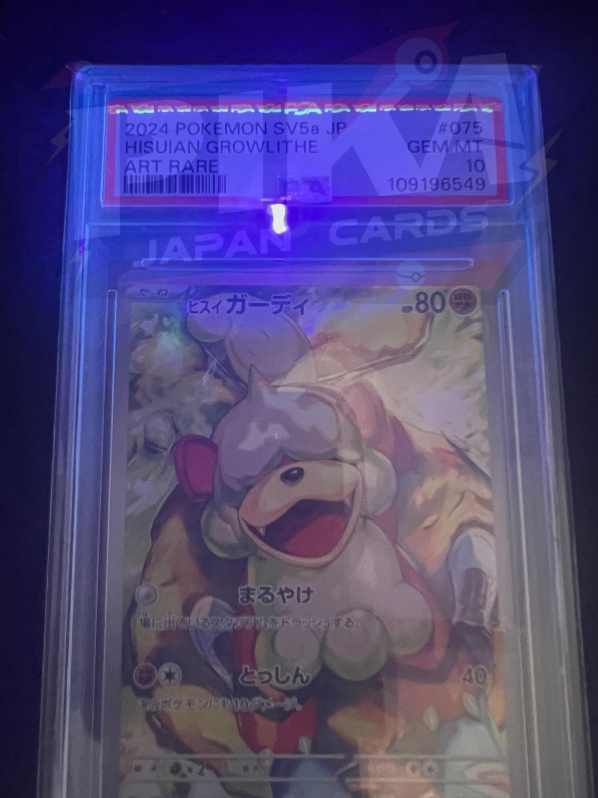 Pokémon card PSA 10 Hisuian Growlithe 75/66 Crimson Haze sv5a JAP