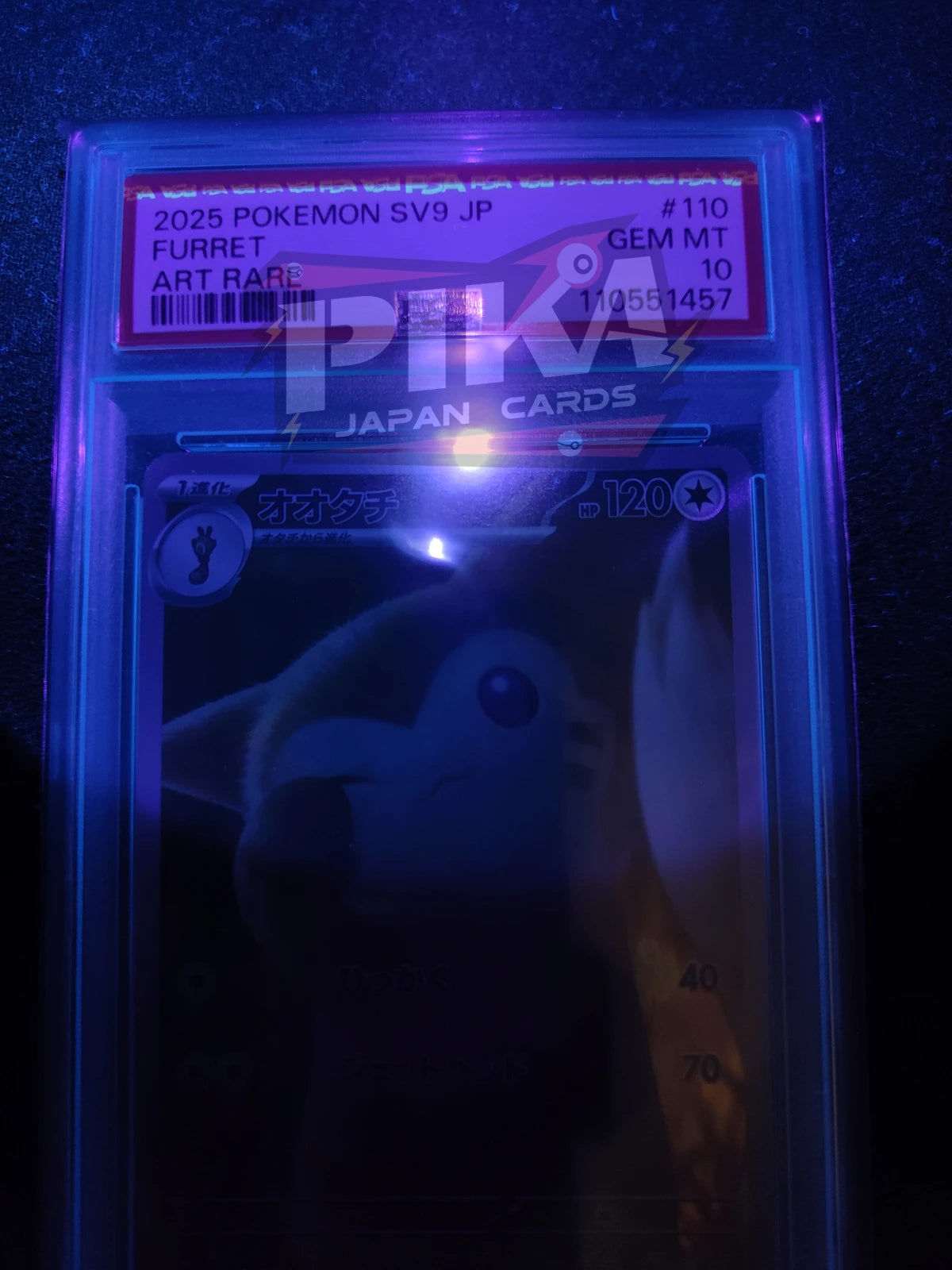 Pokémon card PSA 10 Furret 110/100 sv9 Battle Partners JAP