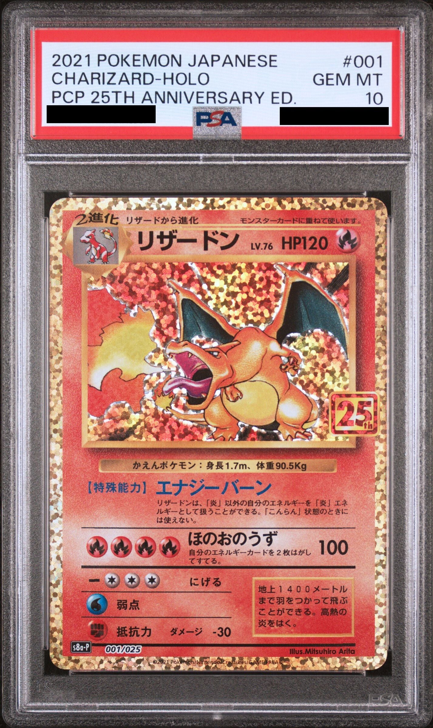 Charizard 1/25