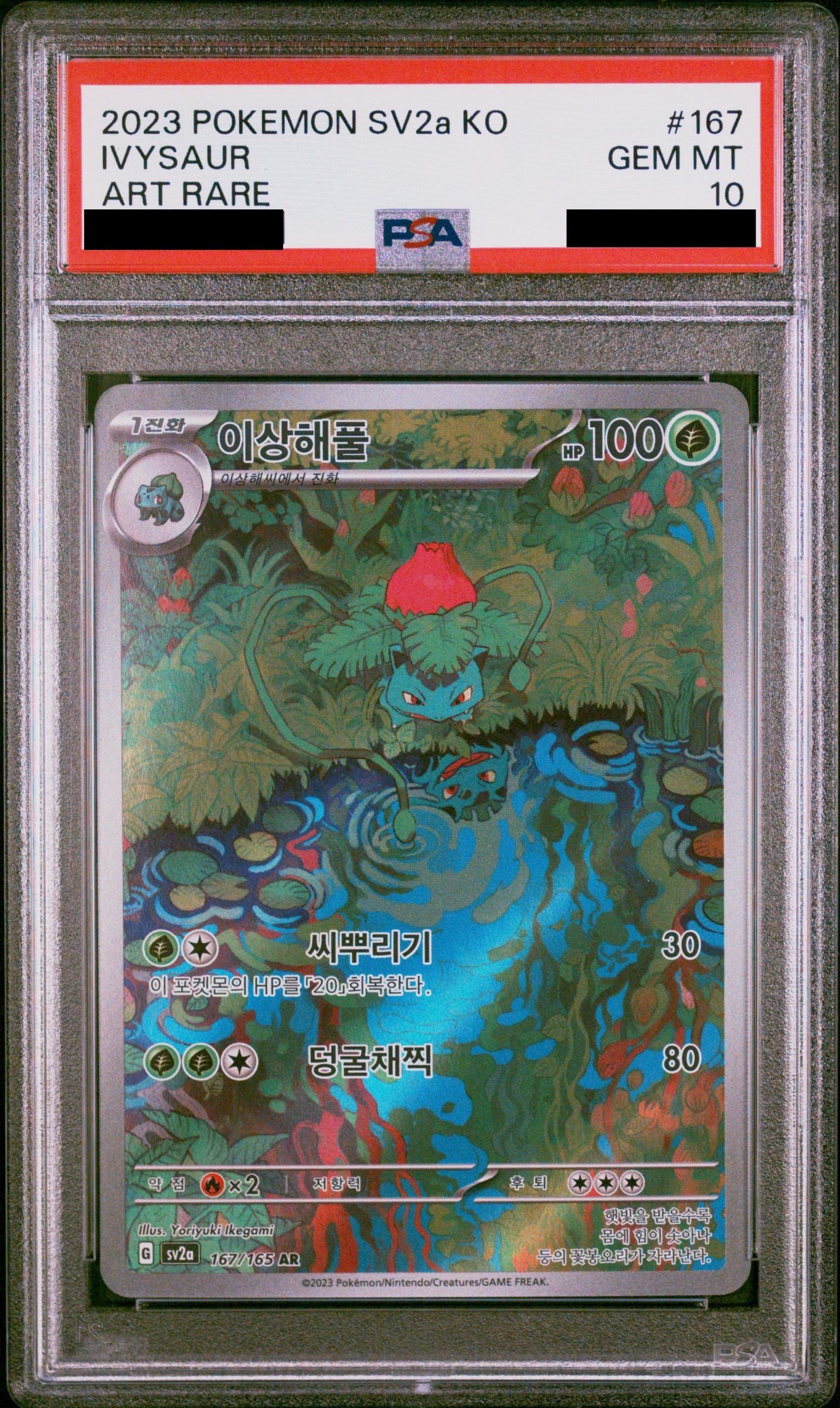 Ivysaur SAR 167/165