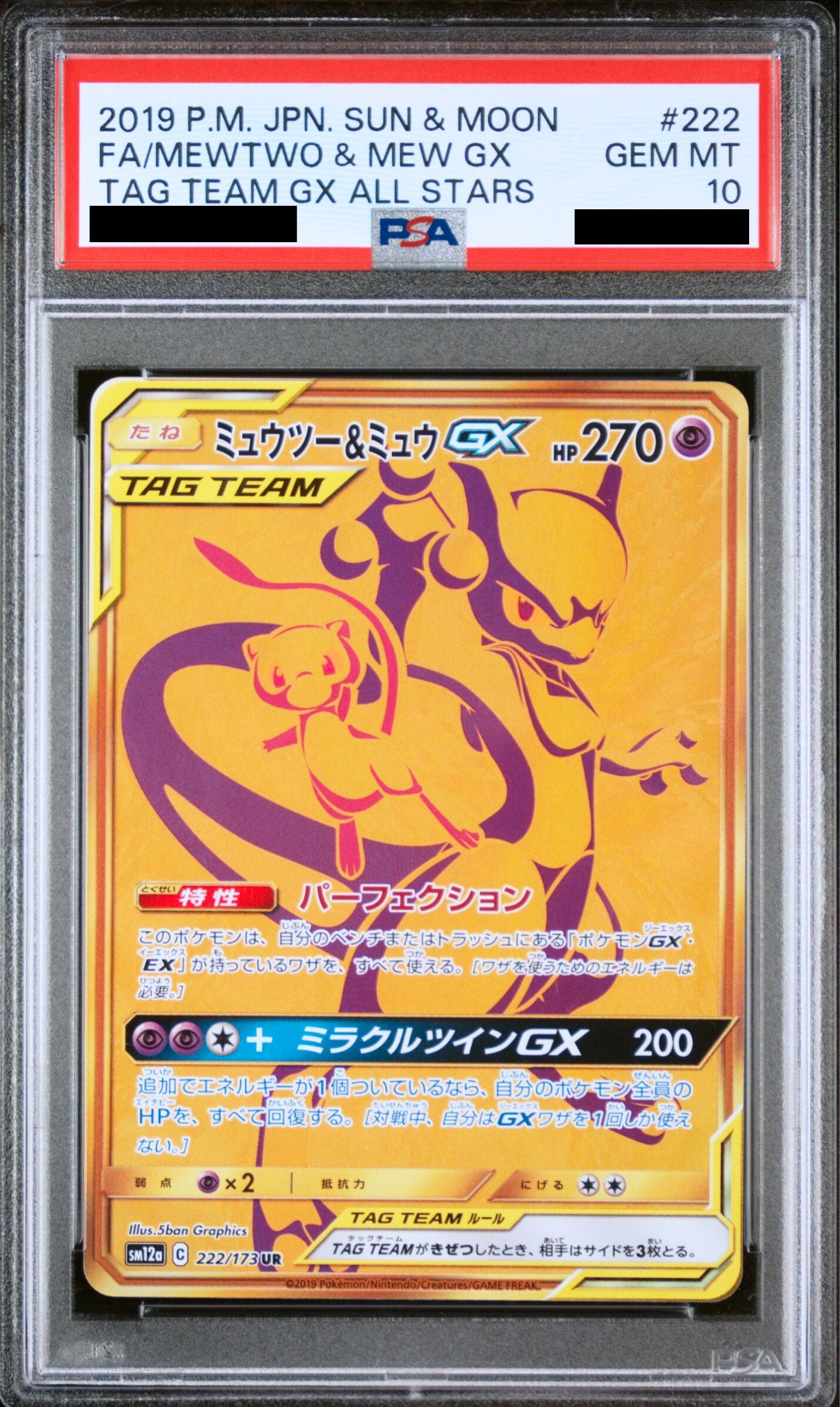 Mewtwo & Mew GX UR 222/173