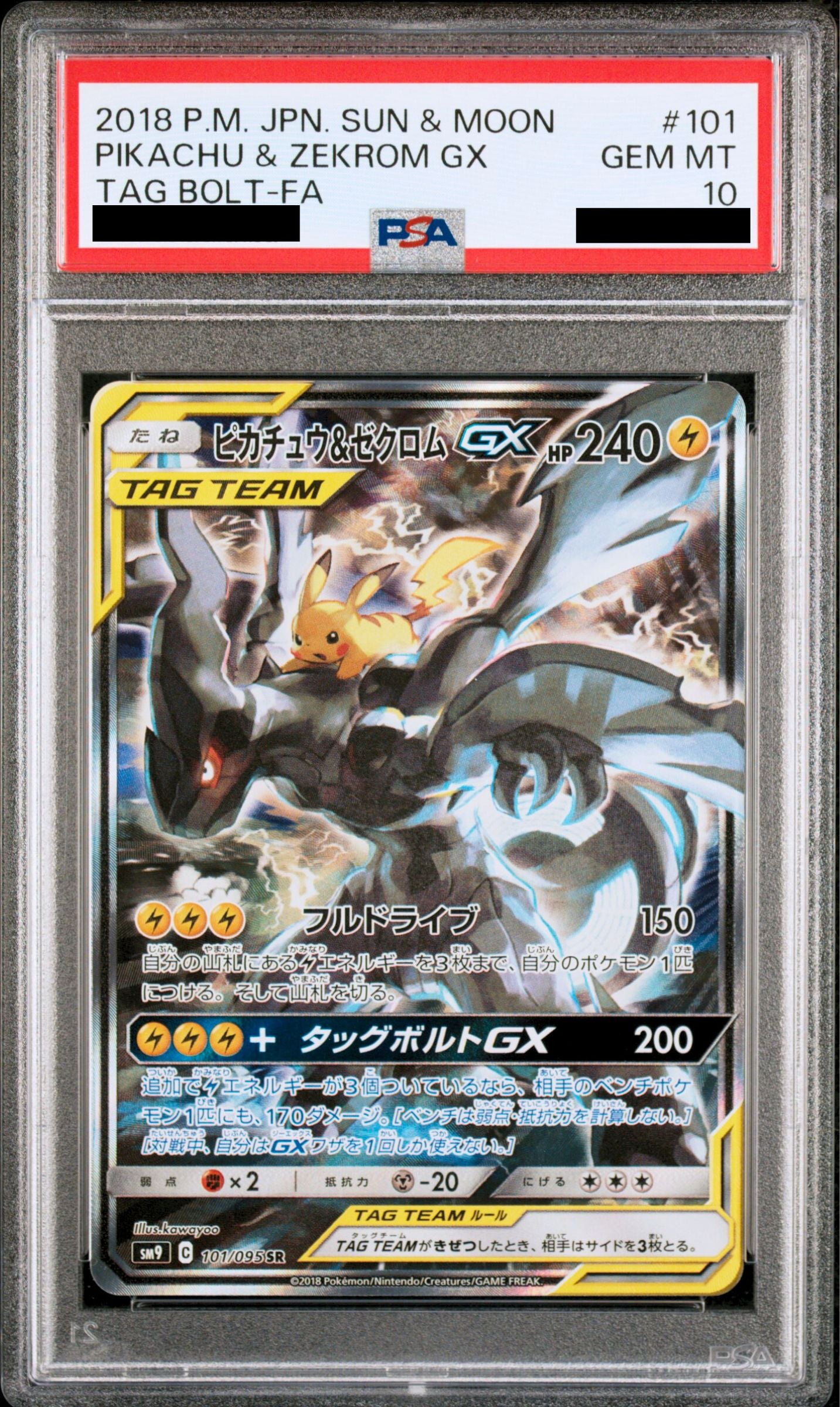 Pikachu & Zekrom SAR 101/95